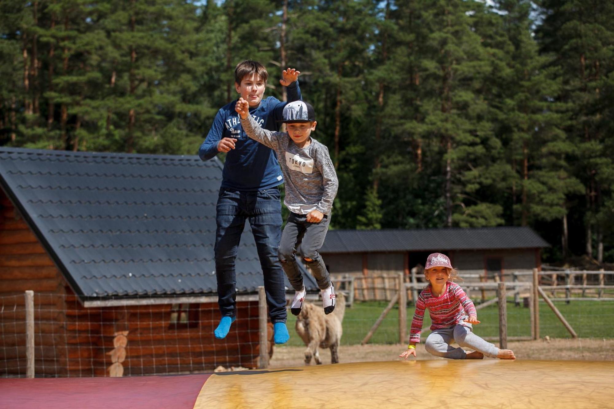 Raksi Hotel Cesis Bagian luar foto