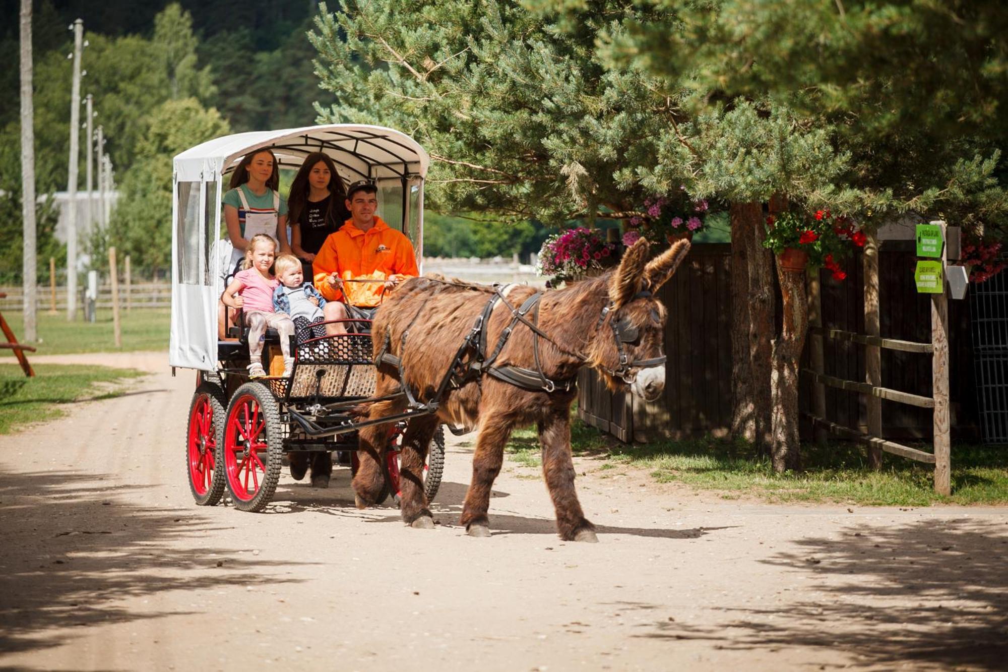 Raksi Hotel Cesis Bagian luar foto